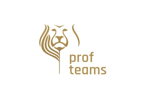 Logo Profteams