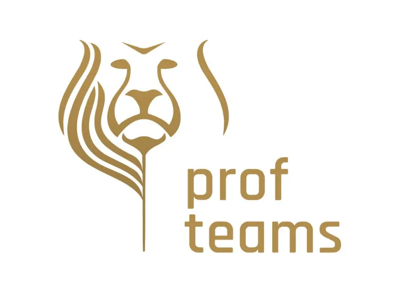 Logo Profteams