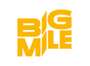 Logo Bigmile
